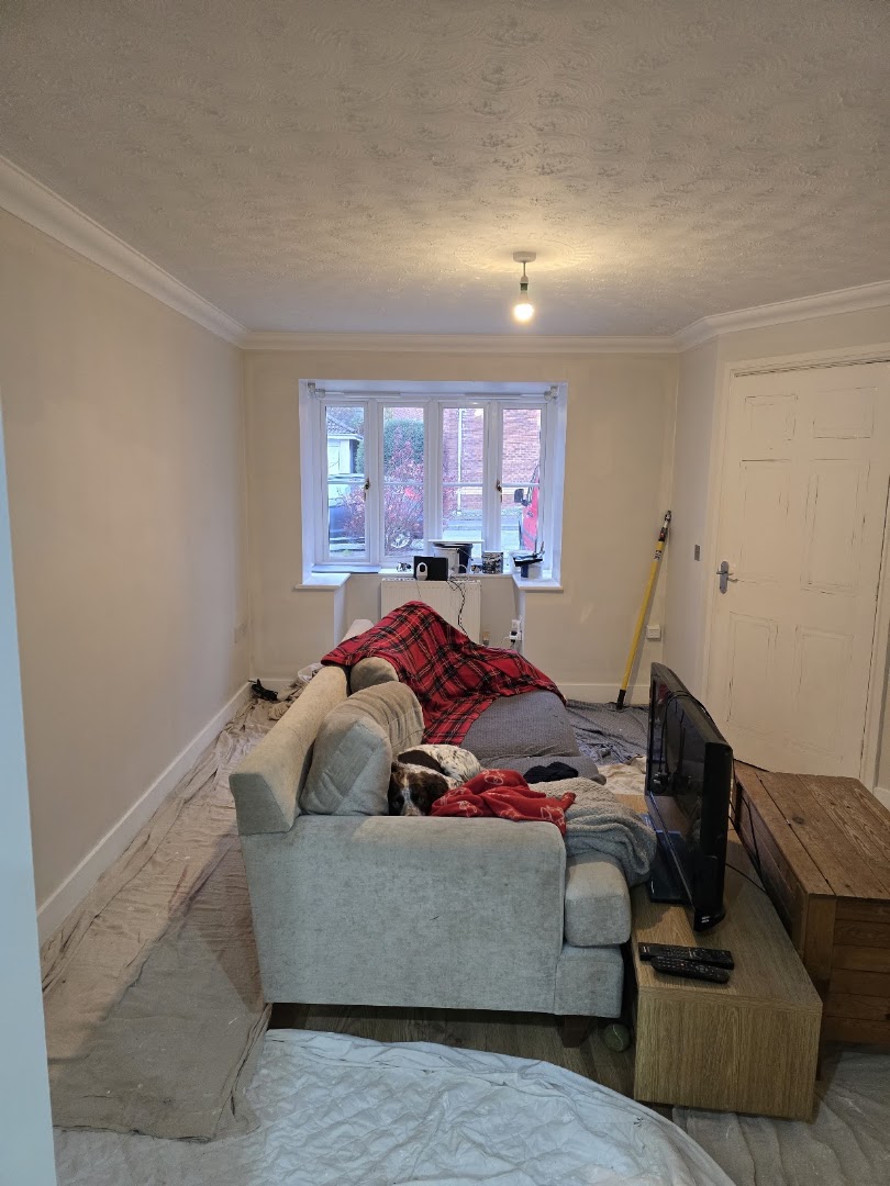 Llew Evans Painter Decorator — Photos 15